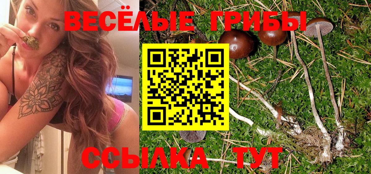 Псилоцибиновые грибы ЛСД Лянтор